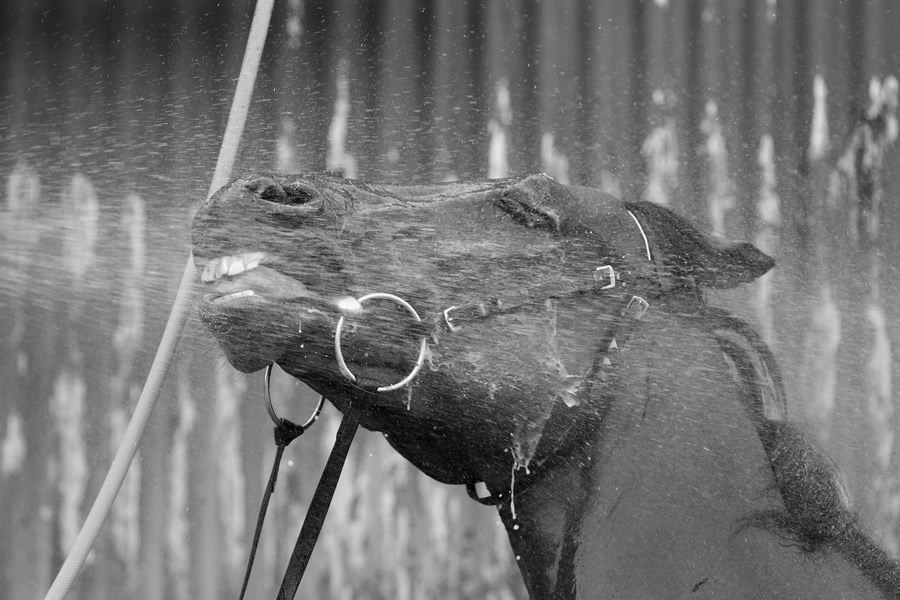 Ger Lyons Blog Ger Lyons Blog