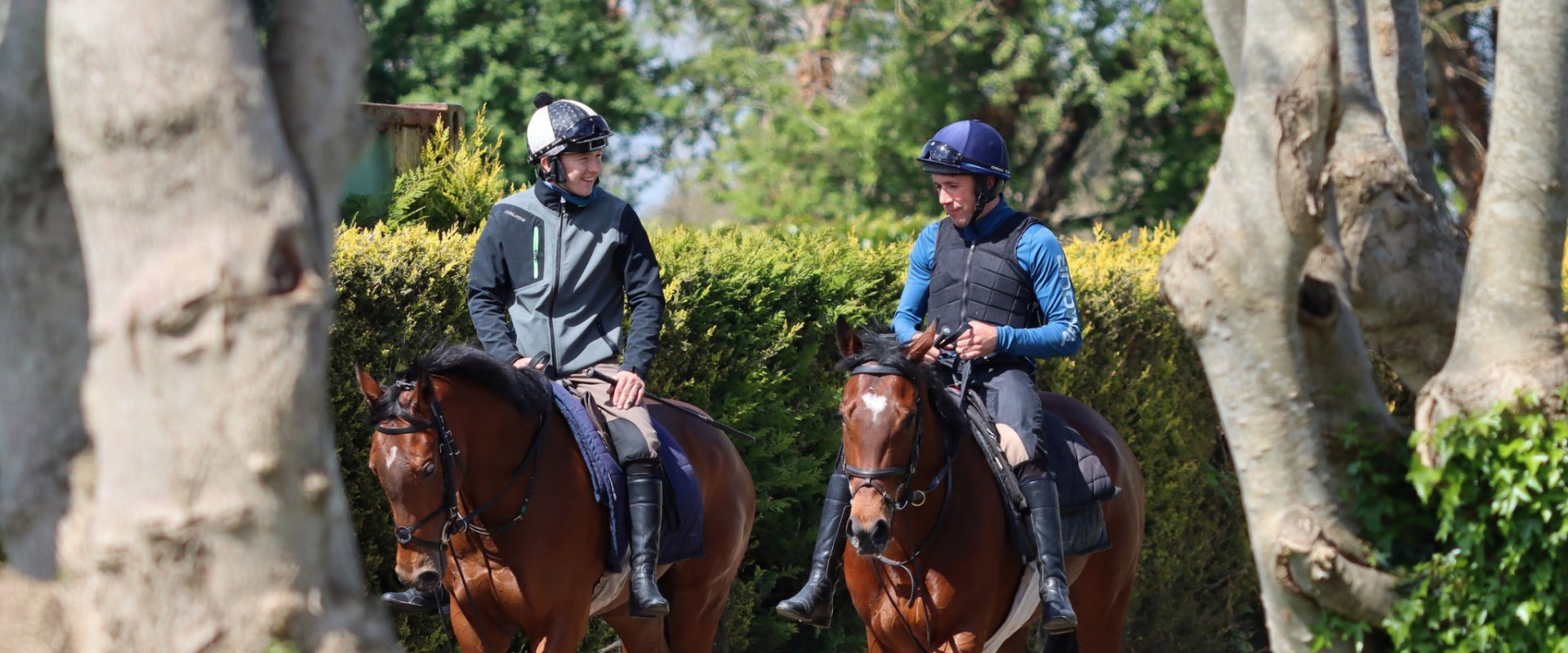 ger lyons stable tour