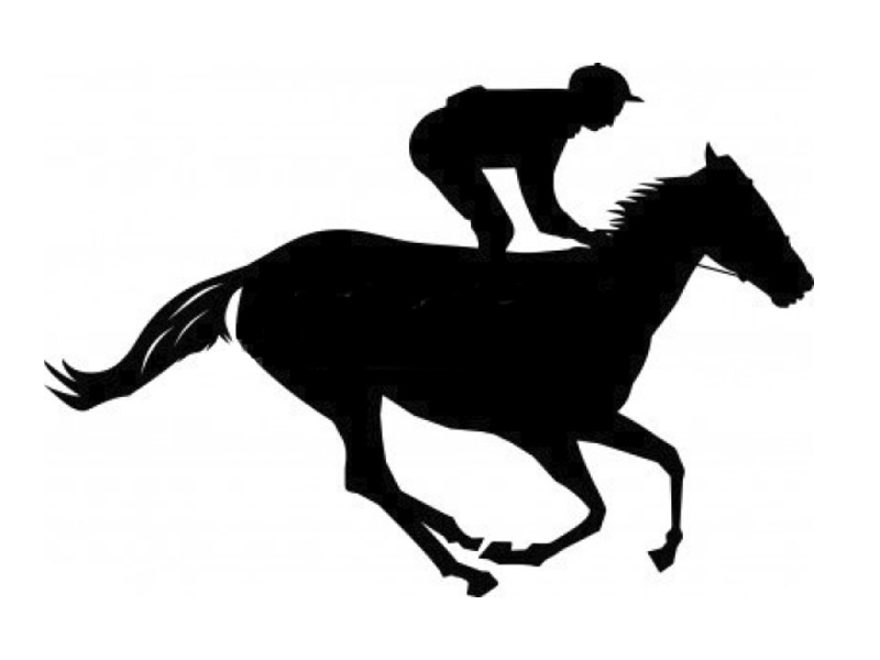gaelic thoroughbreds horse syndicate
