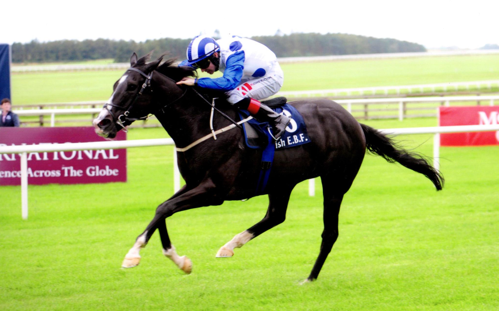 BUFFER ZONE adds the valuable Bold Lad Sprint H'Cap to his CV at The Curragh, 15th September 2019