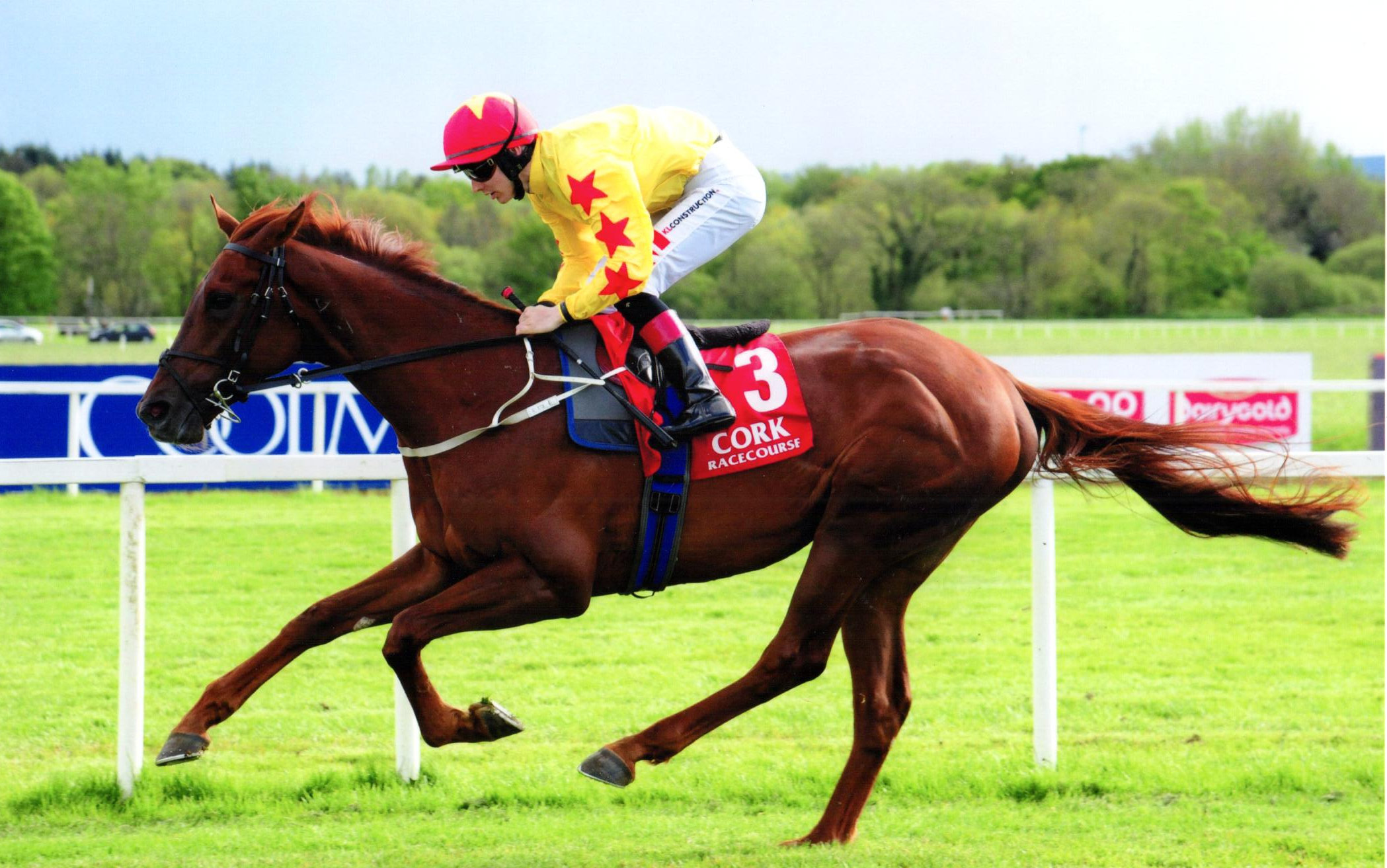 CALIFORNIA DADDY gets the first winner on the board for the team at Cork, 10th May 2019