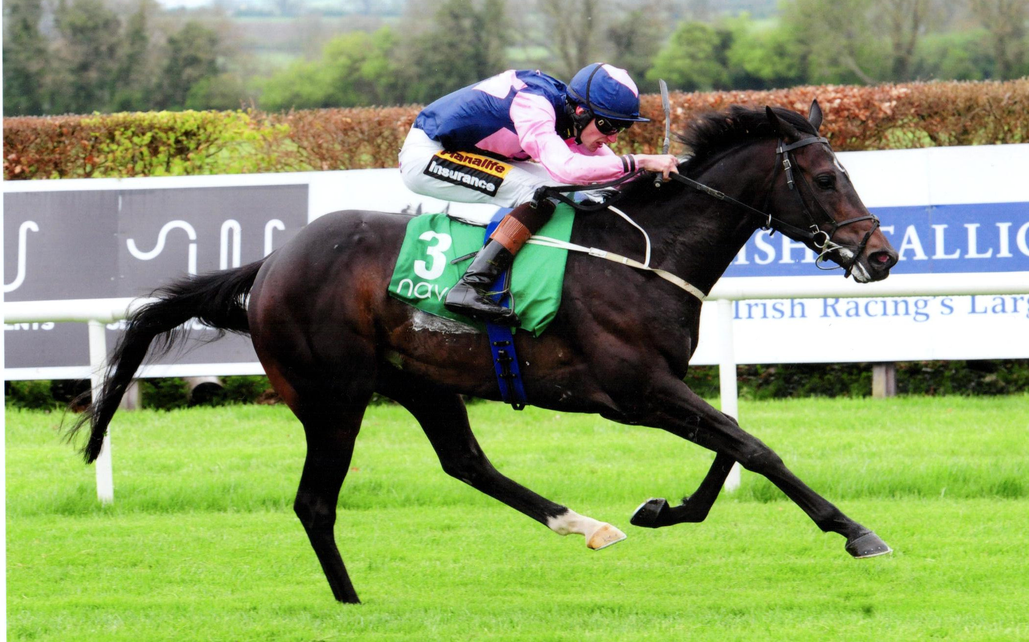 Inverleigh & Donagh O'Connor strike for home in the Committed Stks (Listed) - Navan, 28th April 2019