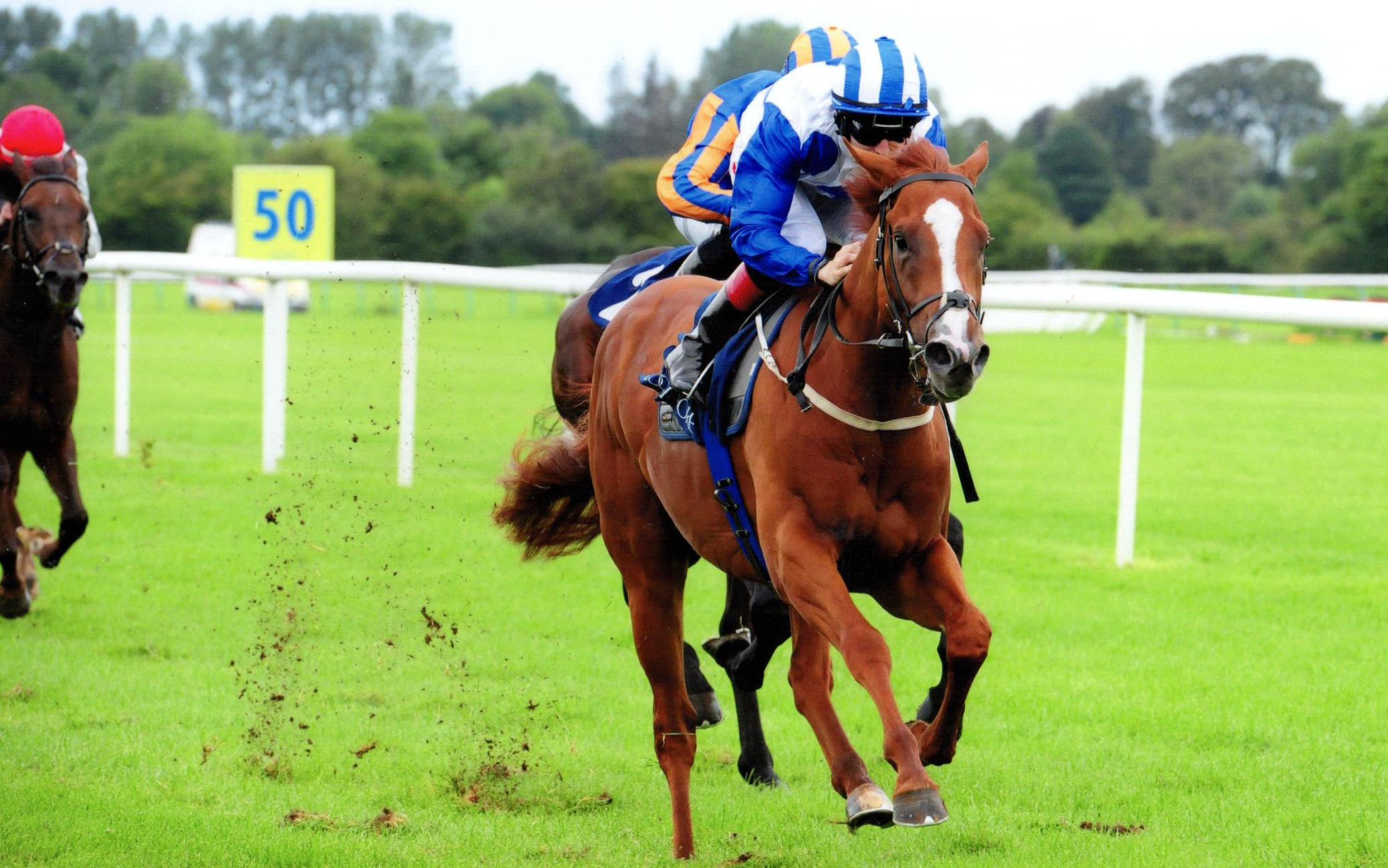 JUSTIFIER earns a black type win in the Coolmore Caravaggio L.Stks - Tipperary, 11th August 2019