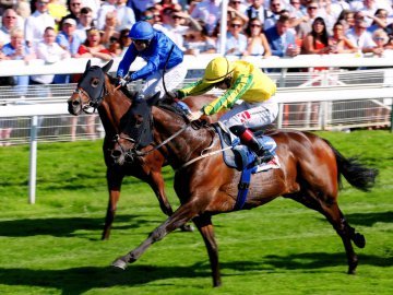 MUSTAJEER reigns supreme in the £1m Sky Bet Ebor Handicap at York, 24th August 2019