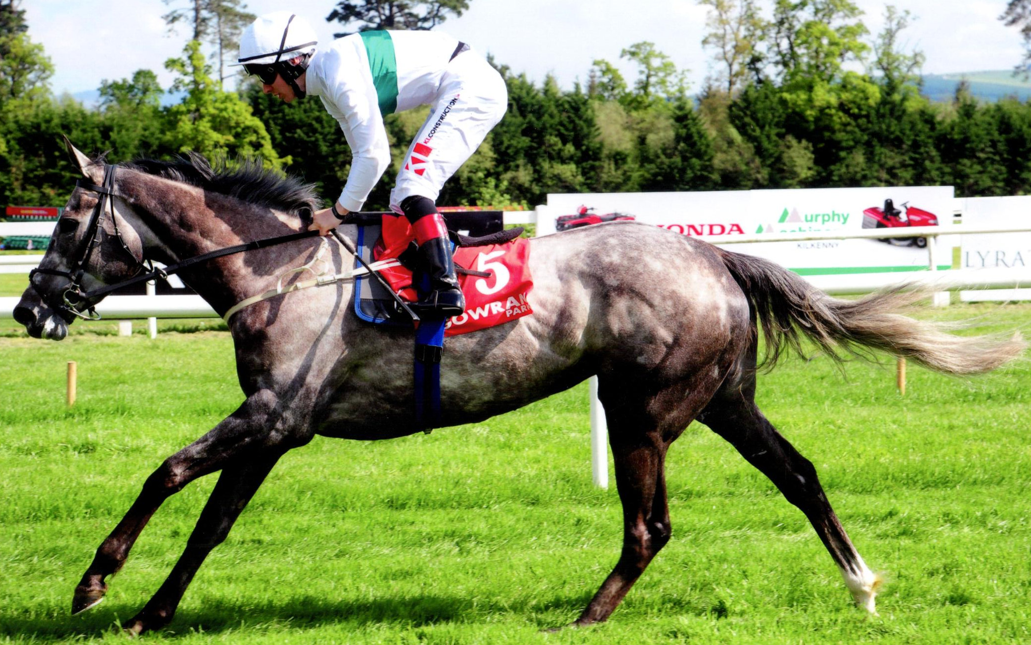 WHO'S STEPH adds an 8L win of the Victor McCalmont Mem. Stakes (L.) to her CV - Gowran, 5th May 2019