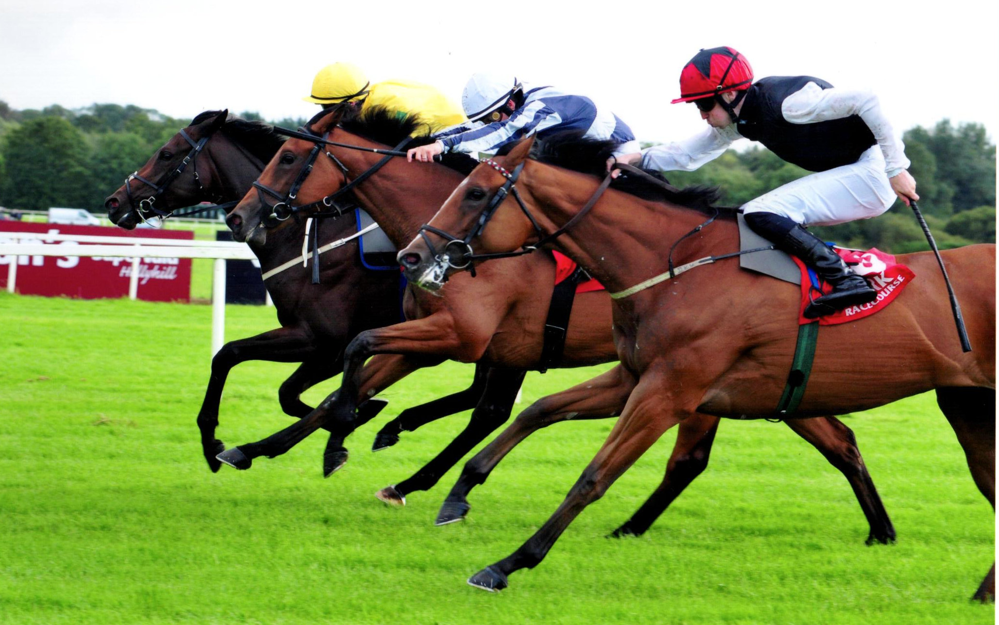 YAXENI (yellow) is game to the line in the Marymount Hospice Irish EBF M'dn - Cork, 17th August 2019