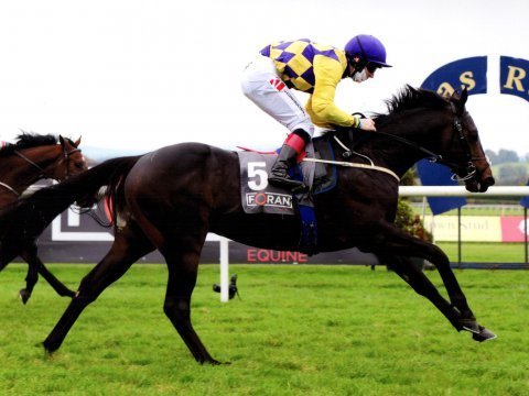 ECLIPTICAL travels from last to first to win the Foran Equine Irish EBF Final at Naas, 18th Oct '20