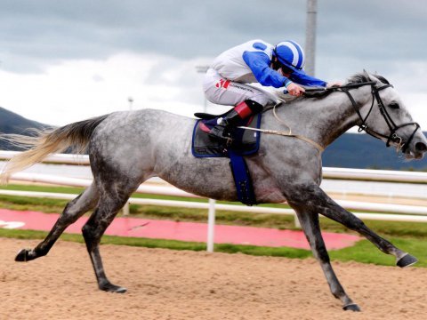 ELA KATRINA clocks up her third win in 2020 on the all weather at Dundalk, 16th Oct '20