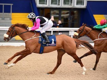 BEAUTY AMAZED & Gary Carroll provide the yard with the first winner of the season - Dundalk 2nd Feb '22 (Healy Racing). 