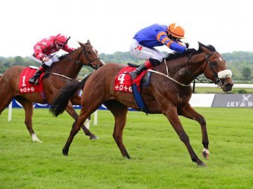 HALE BOPP and Colin bring up a double on the day for team Lyons at Naas - 15th May '22 (Healy Racing). 