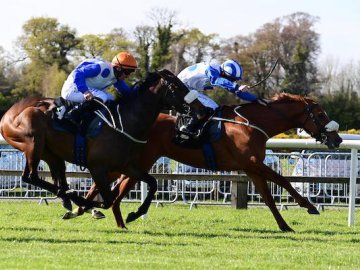 JARVIS stretches for home ahead of stable mate NEO SOUL at Bellewstown, 20th April 22 (Healy Racing). 