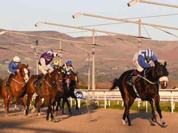 BANANA THREE is the 50th winner of the year for team Lyons - Dundalk, 13th Dec '23 (Healy Racing). 