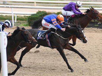 ETHICAL CODE holds on in a tight finish first time out at Dundalk, 30th Oct '24 (Healy Racing). 