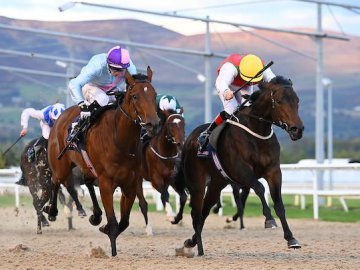 GLYNDWR (yellow cap) toughs it out in the last strides to win his maiden over 7f - Dundalk, 11th Oct '24 (Healy Racing). 