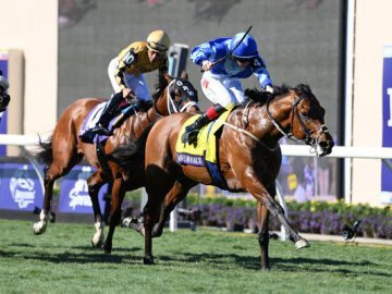 MAGNUM FORCE's acceleration is breathtaking in the Breeders Cup Juvenile Sprint Turf at Del Mar, 1st Nov '24 (Healy Racing). 