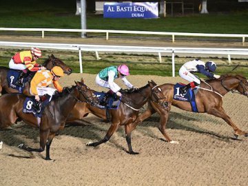 MISAPPROPRIATION holds off rivals in the EBF Fillies Maiden over 7f at Dundalk, 8th Nov '24 (Healy Racing). 