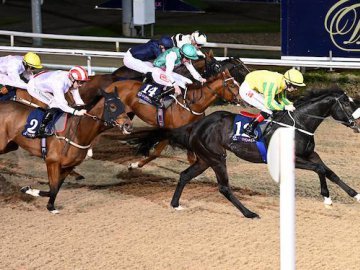 SAKTI makes all to land the Cooley Listed Stakes at Dundalk, 8th Nov '24 (Healy Racing). 