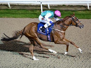 The consistent VIVIENDA gets her head in front once again over 7f at Dundalk, 18th Oct '24 (Healy Racing). 