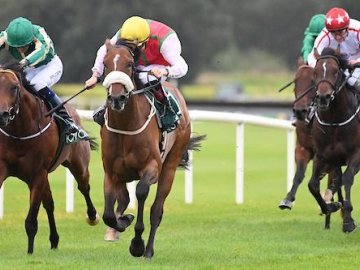 AMIATA comes up the hill strongly over 5f at Navan in the colours of Philip Richards - 28th Aug '25 (Healy Racing). 