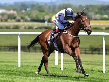 BECKMAN kicks off a treble for the yard over 1m at Naas, 18th May '25 (Healy Racing). 