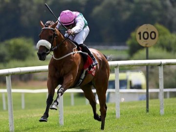 CONTINUITE and Gary stay on really well over 1m at Gowran Park, 26th July '25 (Healy Racing). 