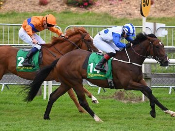 EMPTY WALLET and Nicola Burns come from the back of the field at Bellewstown, 4th July '25 (Healy Racing).