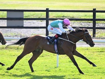 FAIYUM makes it two from two over 8f at Killarney, 13th May '25 (Healy Racing). 