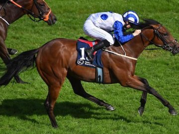 HOW'DYADOIT and Colin land the very valuable Irish EBF Ballyhane Stakes for Séan Jones - Naas, 4th Aug '25 (Healy Racing). 
