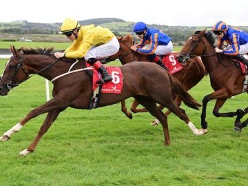 LA FOGATA gets the mile trip really well to take her maiden at Punchestown, 16th Sept '25 (Healy Racing). 