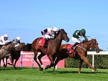 SMEXY is gutsy to the line for owner Mark Dobbin over 7f at Leopardstown, 21st Aug '25 (Healy Racing). 