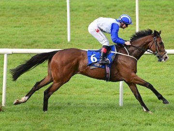 SONORAN is well clear of all rivals in the EBF Median Auction Maiden over 7f at Tipperary, 27th May '25 (Healy Racing). 
