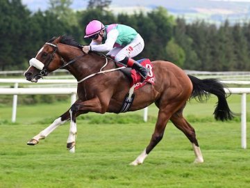 STORM PIECE finds plenty to win the 7f maiden at Gowran Park, 7th May '25 (Healy Racing). 